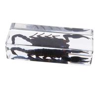 Healvian Esemplari di Insetti Conservati Scorpione in Acrilico Trasparente per Bug dell'Educazione Scientifica Peso Esemplare Dettagliato per Casa e Ufficio