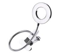 Healvian Lampada da Tavolo Portatile per Manicure Argento in Alluminio Guida Luminosa Opaca, Protezione Occhi e Completamente Regolabile per Tatuaggi e Uso Multiplo
