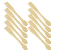HEANUJJ Set 10 Mini Cucchiai per Crema Viso in Abs, Applicatori per Cosmetici e Maschere, Paletta per Trucco Portatile per Uso Domestico e Centri Estetici