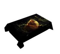 Hearda Tovaglia Antimacchia Rettangolare, Tovaglia da Tavolo Stampa Volpe Animale 3D Moderna Impermeabile per Decorazione Tavola da Pranzo Cucina Giardino Bar (lucciola,150x260cm)