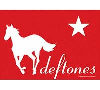 Heart Rock - Bandiera Deftones White Pony, Qualità Italiana, Materiali resistenti e Colori Vivaci - Made in italy [100% Poliestere - 110x75 cm]