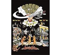 Heart Rock - Bandiera Green Day Dookie, Qualità Italiana, Materiali resistenti e Colori Vivaci - Made in italy [100% Poliestere - 110x75 cm]