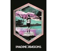 Heart Rock - Bandiera Imagine Dragons Framed, Qualità Italiana, Materiali resistenti e Colori Vivaci - Made in italy [100% Poliestere - 110x75 cm]