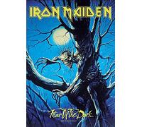 Heart Rock - Bandiera Iron Maiden Fear of The Dark, Qualità Italiana, Materiali resistenti e Colori Vivaci - Made in italy [100% Poliestere - 110x75 cm]