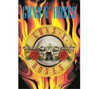 Heart Rock Bandiera Originale Guns N’ Roses Circle Flames, Tessuto, Multicolore, 110x75x0.1 cm