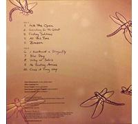 Heartless Bastards All This Time (Vinyl LP) 12" Album