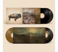 Heartless Bastards Arrow (Vinyl LP) 10th Anniversary 12" Album Coloured Vinyl