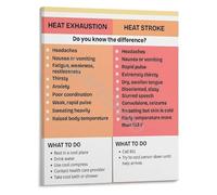 Heat Exhaustion Vs Heat Stroke Identification Guide Poster Educational Infographic Canvas Print for Office Clinic Wall-Art(Framed,16x24inch(40x60cm))