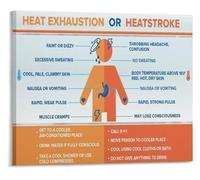 Heat Stress Prevention Poster Heat Illness Safety Chart for Landscaping Crews Construction Workers First Aid Kit Reference