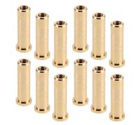HEATSHAKING 12 Pezzi Inserti in Ottone da 38 Grani per Aste Frecce ID 0.244" 6.2mm Connettore a Vite, Facile Installazione e Miglioramento Prestazioni per Caccia e Tiro al Bersaglio