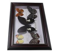 HEATSHAKING Cornice Farfalla Incorniciata Esemplari Veri, Set da 5 Pezzi in Legno Resistente, Decorazioni Murali per Collezione e Regalo per Appassionati di Farfalle