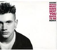 Heaven Must Have Sent You Back To Me