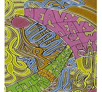 Heavy Heavy Low Low - TURTLE NIPPLE AND THE..