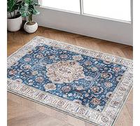 Heavyoff Zerbino Ingresso Esterno, Tappeto Ingresso Interno Lavabile Tappetino Entrata Asciugapassi Antiscivolo per Casa e Ufficio Blu, 60x90cm