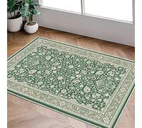 Heavyoff Zerbino Ingresso Esterno, Tappeto Ingresso Interno Lavabile Tappetino Entrata Asciugapassi Antiscivolo per Casa e Ufficio Verde 1, 40x60cm