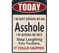 HEBELYX Divertente targa in metallo con scritta "Today I'm Not Gonna Be An I'M Gonna Be Nice It Could Happen", decorazione da parete per casa, ufficio, fattoria, bar, garage, bar, 20 x 30 cm