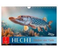 Hecht - Jäger der Tiefe (Wandkalender 2027 DIN A4 quer), CALVENDO Monatskalender: Unterwasser voller Wunder - Im Reich des Hechts.