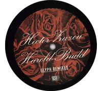 Hector Zazou & Harold Budd - Glyph Remixes