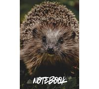 Hedgehog Notebook: Cute Forest Animal Journal, 120 Lined PAges, 6"x9"