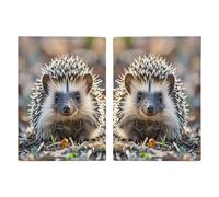 Hedgehog Porta passaporto personalizzato portafoglio per passaporto per donne e uomini porta documenti da viaggio