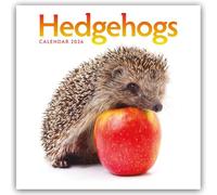 Hedgehogs - Igel 2026 - Wand-Kalender: Original Carousel-Kalender [Mehrsprachig] [Kalender]