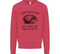 Hedgehogs Just Share The Hedge Divertente Bambini Felpa Maglione
