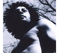 Hedgod - Little Brother Of War