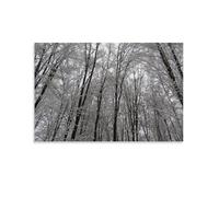 Hedlektio Poster su tela con paesaggio invernale dopo la neve, decorazione artistica da parete per ufficio, casa, regalo, 60 x 90 cm