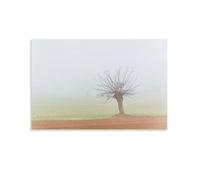 Hedlektio Stampa artistica su tela con nebbia spessa nella pianura padana, decorazione artistica da parete per ufficio e casa, idea regalo, 50 x 75 cm
