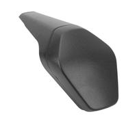 HEEGIN Carenatura Posteriore Motocicletta Carenatura per Sella Posteriore Resistente al Calore, Coprisella Passeggero per Panigale V4 1100 2018-2022 Accessorio per Moto