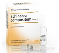 HEEL ECHINACEA COMPOSTA S FORTE 10 FIALE
