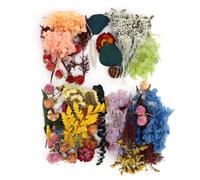 HEEPDD 4 Scatole Bundle di Fiori Secchi, più Colori Vividi e di Fiori Asciutti Fatti a Mano Set per Arrangiamenti Floreali per la Casa Che Rendono la Cornice per Foto di Candele per