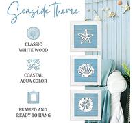 HEEPDD Decorazioni da Parete per Spiaggia a Tema Oceano, Oggetti di Artigianato in Legno con Graziosi Animali Marini, Arte 3D per Bagno e Camera da Letto Costieri, Vibrazioni Estive (Conchiglia)