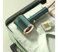 HEEPDD Ferro da Stiro Portatile, Ferro da Stiro Elettrico Compatto e Leggero con Spray, Dispositivo Antirughe da Viaggio Portatile da 33 W per Uso Domestico e in Viaggio (verde scuro)