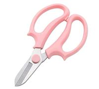 HEEPDD Forbici di Fiori, Cesoie in Acciaio Inossidabile, Pale Affilate per un Facile Uso del Giardino, Presa Comoda per Accordi Floreali (PINK)