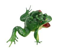 HEEPDD Giocattolo Modello, Simpatico Giocattolo di Simulazione Decorativo per Bambini, Modello di Rana in Plastica Premium per la Decorazione e il Divertimento dell'acquario