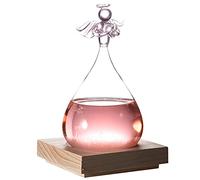 HEEPDD Glass, con Design Elegante, Barometro in Vetro Borosilicato Alto per Decorazioni Domestiche e Regali Unici Glass, Meteorologo Decorativo e Decorazione Domestica (Rosato)
