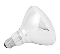 HEEPDD Lampada Riscaldante per Allevamento, Lampadina Isolante a Infrarossi a Temperatura Regolabile 250W 220V 240V con Lampadine in Lega, per Polli e Pollame (AR38 Vetro Bianco bucherellato)