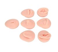 HEEPDD Modello di Parte del Corpo in Silicone, Modello di Anatomia Penetrante per Principianti, Strumento Didattico e di Visualizzazione per l'educazione Infermieristica e Dentistica di Parte del