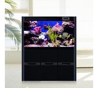 HEEPDD Poster di Corallo Effetto 3D, Sfondo Autoadesivo per Acquario in PVC, Decorazione Subacquea per Acquari, 61 X 30 Cm per Ambienti Acquatici (61 * 30CM)