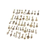 HEEPDD Set di Chiavi Scheletriche in Bronzo Vintage, 50 Pezzi di Ciondoli in Lega di Ottone in Stile Antico per la Creazione di Gioielli Steampunk, Bomboniere, Decorazioni per la Casa, 2,1 Once
