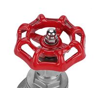 HEEPDD Valvola a Saracinesca in Acciaio Inossidabile Design a Flusso Dritto da 3/4 Pollici per Sistemi di Acqua, Petrolio e Gas con Meccanismo di Apertura Rapida e Peso di 0,9 Libbre Ideale per