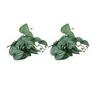 HEEPDD Vite Artificiale per Simulazione di Piante Acquatiche da 2 Pezzi, Foglie di Plastica Realistiche con Ventosa per Acquari e Terrari per Rettili (foglie di anguria)