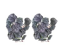 HEEPDD Vite Artificiale per Simulazione di Piante Acquatiche da 2 Pezzi, Foglie di Plastica Realistiche con Ventosa per Acquari e Terrari per Rettili (Foglie di begonia bicolore)