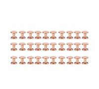 HEEPDD Viti Rivetti, Borchie in Metallo per Lavorazione della Pelle, Oro Rosa Alta Durezza, 100 Set 6x8mm per Borse e Cinture (ferro 4)