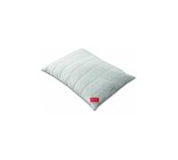 HEFEL Cuscino Bio Wool 40x60cm (champagne) beige