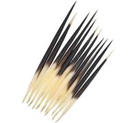 Hehglng 10 pezzi di piume di istrice bastone per capelli indiano accessori per la pesca boa fai da te 6 7 progetti di cucito kit di artigianato, kit di progetti di cucito