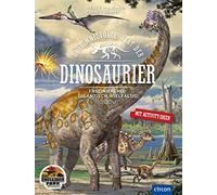 Heidi Schooltink Heike Geheimnisvolle Welt der Dinosaurier: (Copertina rigida)