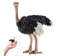 Heidouse Giocattoli Animali, Figure Animali realistiche di Struzzo, Giocattoli educativi dettagliati per Ragazzi, Ragazze