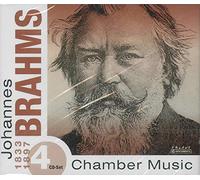 Heifetz/ Rubinstein/ Casals/ Serkin/ Menuhin - Brahms: Kammermusik